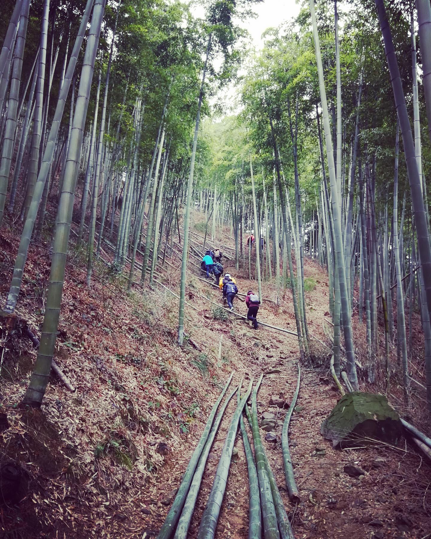 艾巴赫年会之旅 | 鼠年大吉(图6)