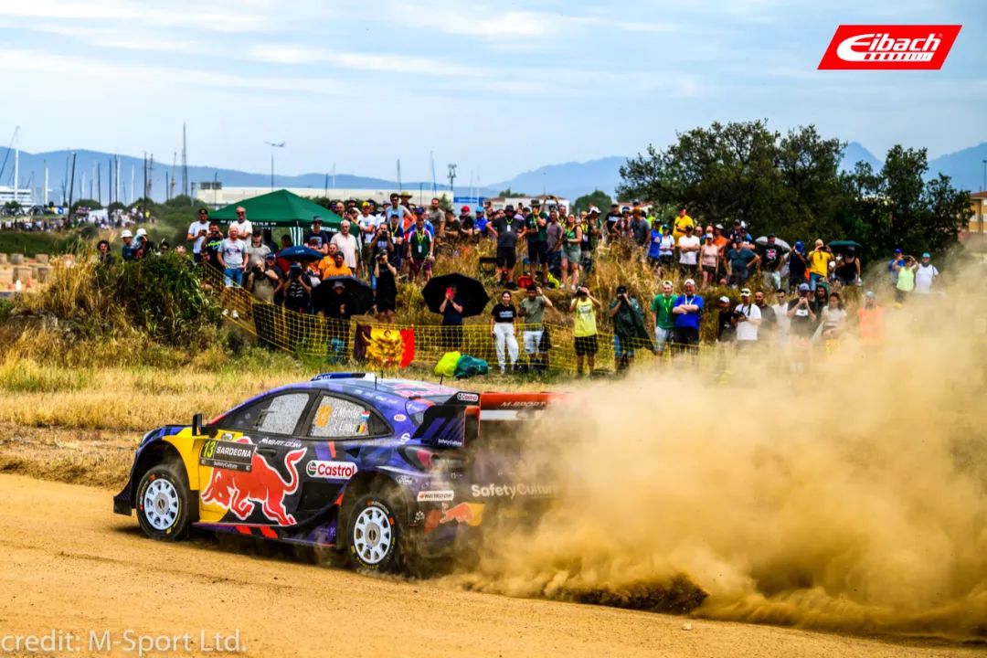 艾巴赫赛事｜2025WRC世界拉力锦标赛葡萄牙&意大利站(图17)