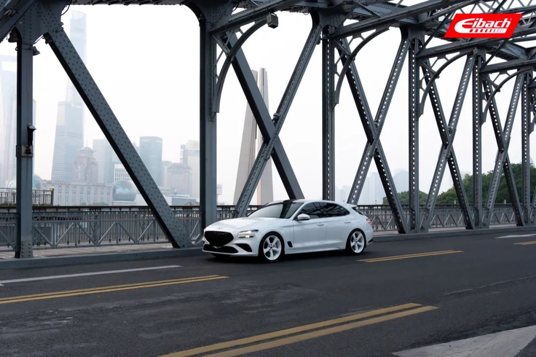 车友投稿｜捷尼赛思G70 Shooting Brake x 艾巴赫高性能弹簧PRO-KIT(图12)